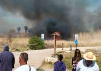 Un incendio en el delta del Río Palancia ocasiona una densa columna de humo que ha causado alarma entre la población