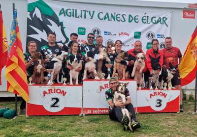 Buenos resultados del club Canes de Élgar en la Copa Regional de Agility RFEC Comunidad Valenciana